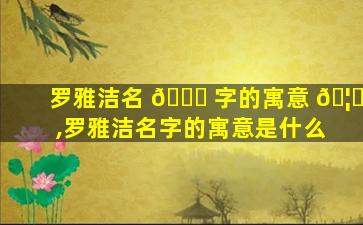 罗雅洁名 🕊 字的寓意 🦅 ,罗雅洁名字的寓意是什么